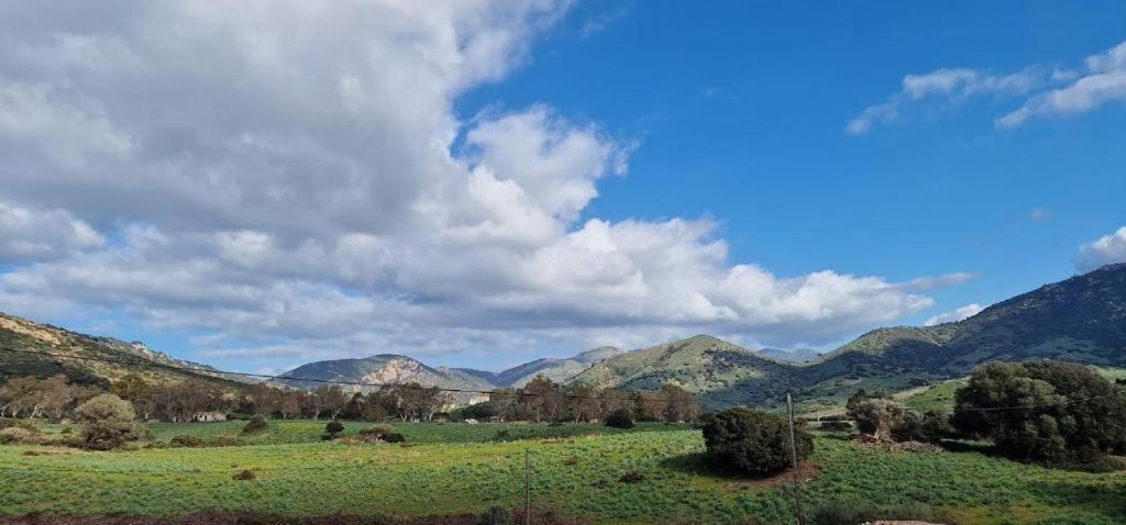 Les Collines De Lava Apartment Appietto Luaran gambar